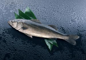 大阪中心部のホストクラブ情報が終結