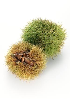 札幌のホストクラブの楽しみ方について